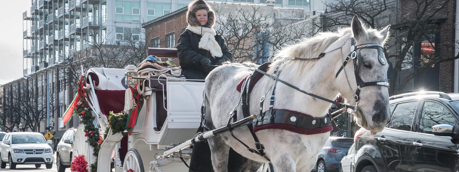 7 Must Do Events in Royal Oak this December!